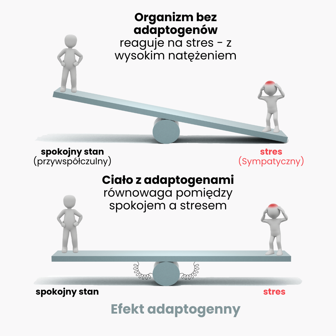 (Polština) (11)